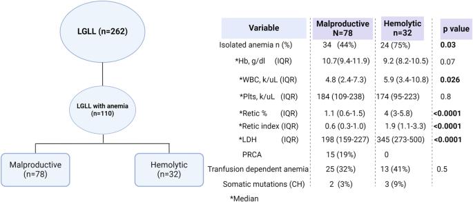 Hemolytic versus malproductive anemia in large granular lymphocytic leukemia