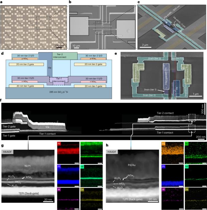 Monolithic three-dimensional integration of complementary two-dimensional field-effect transistors