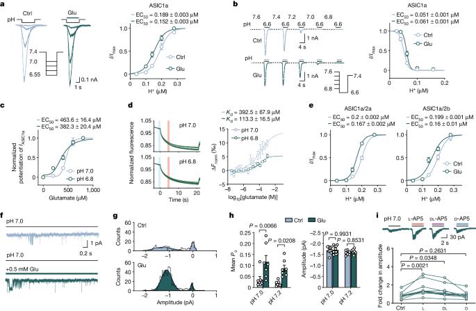 Glutamate acts on acid-sensing ion channels to worsen ischaemic brain injury