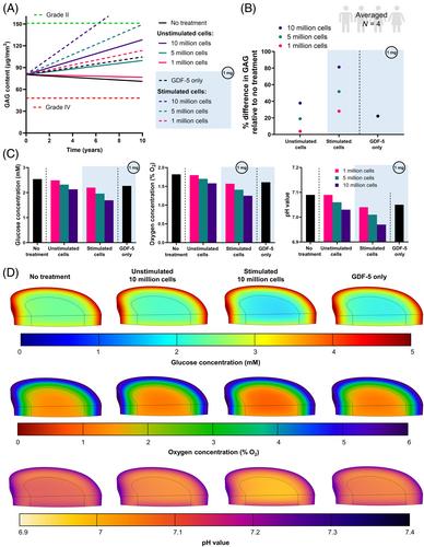 In silico modeling the potential clinical effect of growth factor treatment on the metabolism of human nucleus pulposus cells