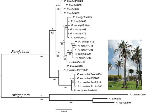 Genotyping-by-sequencing informs conservation of Andean palms sources of non-timber forest products