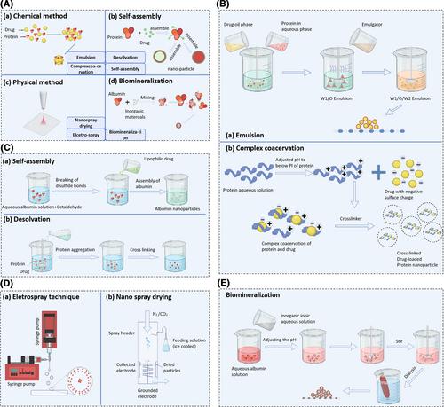Research progress of serum albumin in the field of drug delivery