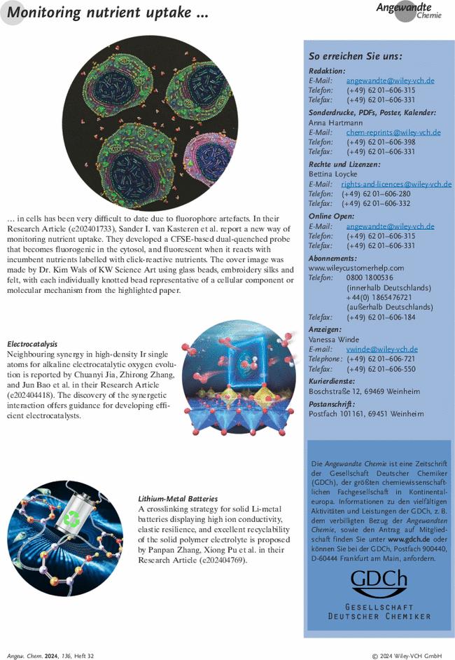 Graphisches Inhaltsverzeichnis: Angew. Chem. 32/2024