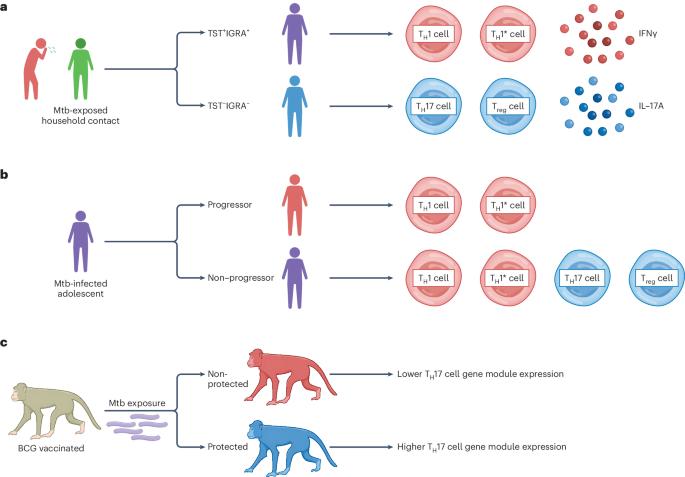 Recasting resistance to Mycobacterium tuberculosis