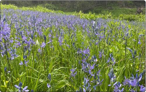 Enhancing water protection on Tribal lands