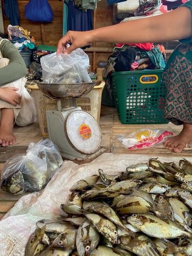 AGENCY AND POWER OF COASTAL COMMUNITIES: Assembling Micro Infrastructures as Everyday Resistance and Resilience in North Jakarta's Port