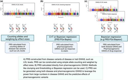 Pharmacogenomics polygenic risk score: Ready or not for prime time?