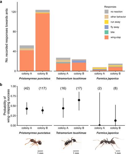 Wing-slapping: A defensive behavior by honey bees against ants