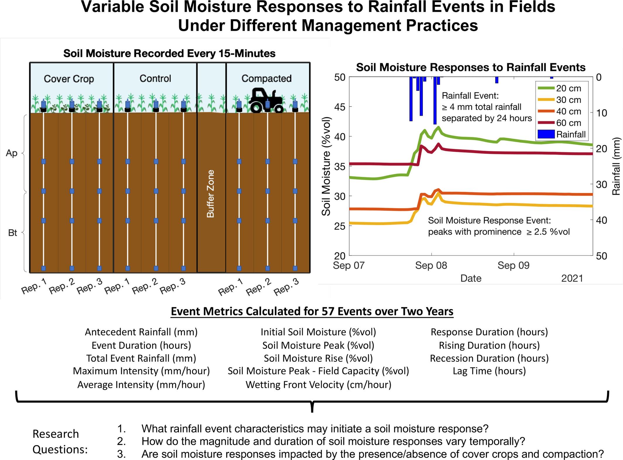 Variable soil moisture responses to rainfall events in fields under different management practices