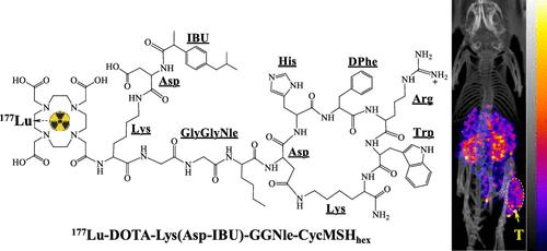 Effect of Ibuprofen as an Albumin Binder on Melanoma-Targeting Properties of 177Lu-Labeled Ibuprofen-Conjugated Alpha-Melanocyte-Stimulating Hormone Peptides