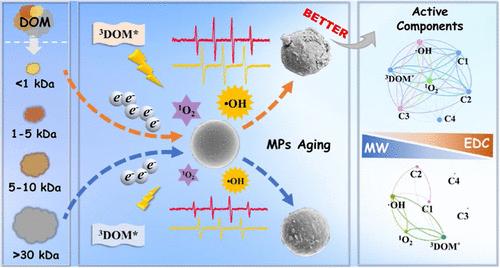 Molecular Weights of Dissolved Organic Matter Significantly Affect Photoaging of Microplastics