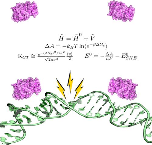 Theoretical Insights into MutY Glycosylase DNA Repair Mechanism