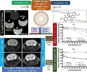 Nanostructured gadolinium(III) micelles: Synthesis, characterization, cytotoxic activities, and MRI applications in vivo