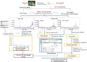 Characterization of chemical constituents and metabolites in rat plasma after oral administration of Ainsliaea fragrans Champ by using UHPLC-QTOF-MS/MS