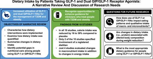 Dietary intake by patients taking GLP-1 and dual GIP/GLP-1 receptor agonists: A narrative review and discussion of research needs