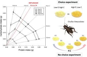 Macronutrient regulation in nymphs of the two-spotted cricket, Gryllus bimaculatus (Orthoptera: Gryllidae)