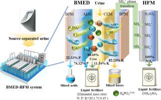 Advanced electrochemical membrane technologies for near-complete resource recovery and zero-discharge of urine: Performance optimization and evaluation