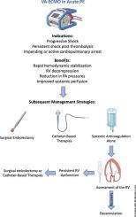 Venoarterial extracorporeal membrane oxygenation in high-risk pulmonary embolism: A narrative review