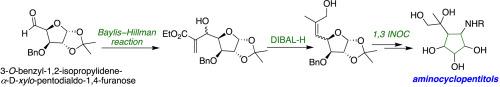 Diastereoselective 1,3-dipolar intramolecular nitrone olefin cycloaddition (INOC) reaction of a sugar-derived allyl alcohol: Synthesis of functionalized aminocyclopentitols