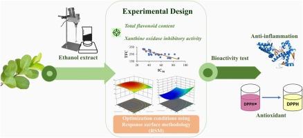 Optimisation and Evaluation of the Correlation of Extraction Conditions for Total Flavonoid Content and Antixanthine Oxidase Activity in Psidium guajava