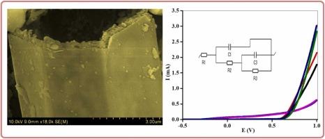 g-C3N4 hollow tubes decorated with SnO2 quantum dots for photoelectrochemical applications