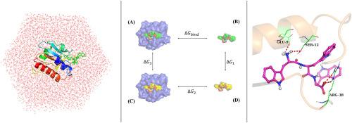 Computational discovery of tripeptide inhibitors targeting monkeypox virus A42R profilin-like protein