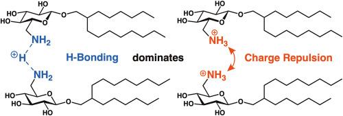 Enhanced assembly stability for amine-based cationic glycolipid