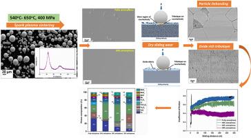 Oxidative wear assisted enhanced wear performance of spark plasma sintered in situ Fe-based bulk metallic glass composites