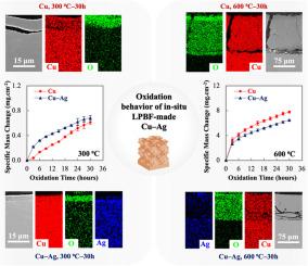 Oxidation behavior of Cu–Ag alloy in-situ manufactured via laser powder bed fusion