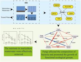 Dynamics of fungi and the connection with bacteria in removing nutrients from mariculture wastewater in the integrated bioremediation systems