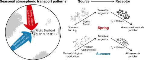 Seasonal dynamics of airborne biomolecules influence the size distribution of Arctic aerosols