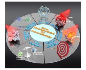 Phototherapeutic nanoagents for cancer immunotherapy