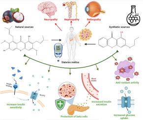 Exploring the therapeutic potential of xanthones in diabetes management: Current insights and future directions