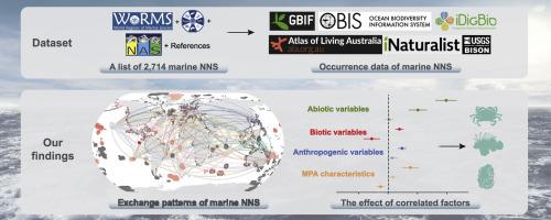 Non-native species in marine protected areas: Global distribution patterns