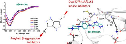 The pyrazolo[4,3-c]pyrazole core as a novel and versatile scaffold for developing dual DYRK1A-CLK1 inhibitors targeting key processes of Alzheimer's disease pathology