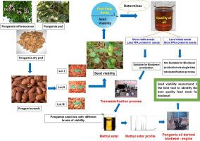 Oilseed viability: A crucial factor for the success of the biodiesel industry