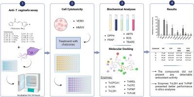 Antiparasitic activity of chalcones analogue against Trichomonas vaginalis: biochemical, molecular and in silico aspects