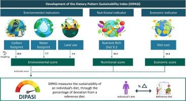 Development of the Dietary Pattern Sustainability Index (DIPASI): A novel multidimensional approach for assessing the sustainability of an individual's diet