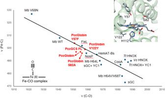 Heme pocket hydrogen bonding residue interactions within the Pectobacterium Diguanylate cyclase-containing globin coupled sensor: A resonance Raman study