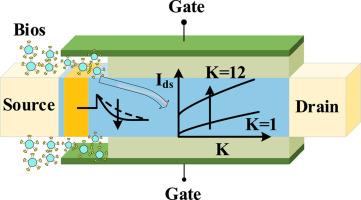 A P+ pocket doped 4H–SiC Schottky barrier FET as highly sensitive label-free biosensor