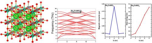 Investigating the multifaceted characteristics of Ba2FeWO6 double perovskite: Insights from density functional theory