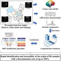 Tracing the origin of isatidis radix based on multivariate data fusion combined with DBN classification algorithm