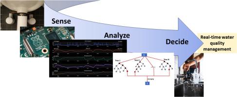 High resolution data visualization and machine learning prediction of free chlorine residual in a green building water system