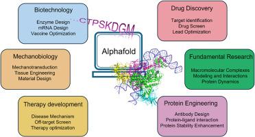 From sequence to mechanobiology? Promises and challenges for AlphaFold 3