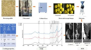 Evaluation of quality characteristics of ultrasound–treated browntop millet grains