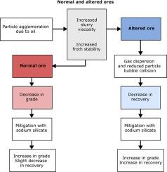 Decoupling the effect of hydraulic oil contamination on the flotation performance of UG2 PGE ore and its interaction with alteration minerals