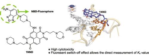 Design and synthesis of dual functional NBD-fluorophore-incorporated naphthalene diimide derivatives as G-quadruplex ligands