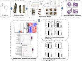 Arecoline inhibits the growth of Spodoptera litura by inducing intestinal metabolic dysfunction