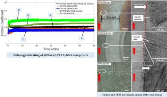 The effect of reinforcing fillers on the tribological performance of PTFE composites for a sustainable environment