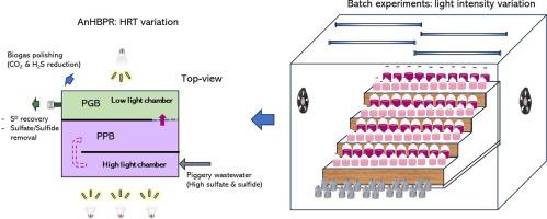 Anaerobic hybrid-photobioreactor using phototrophic purple and green bacteria treating piggery wastewater with sulfur recovery and biogas polishing